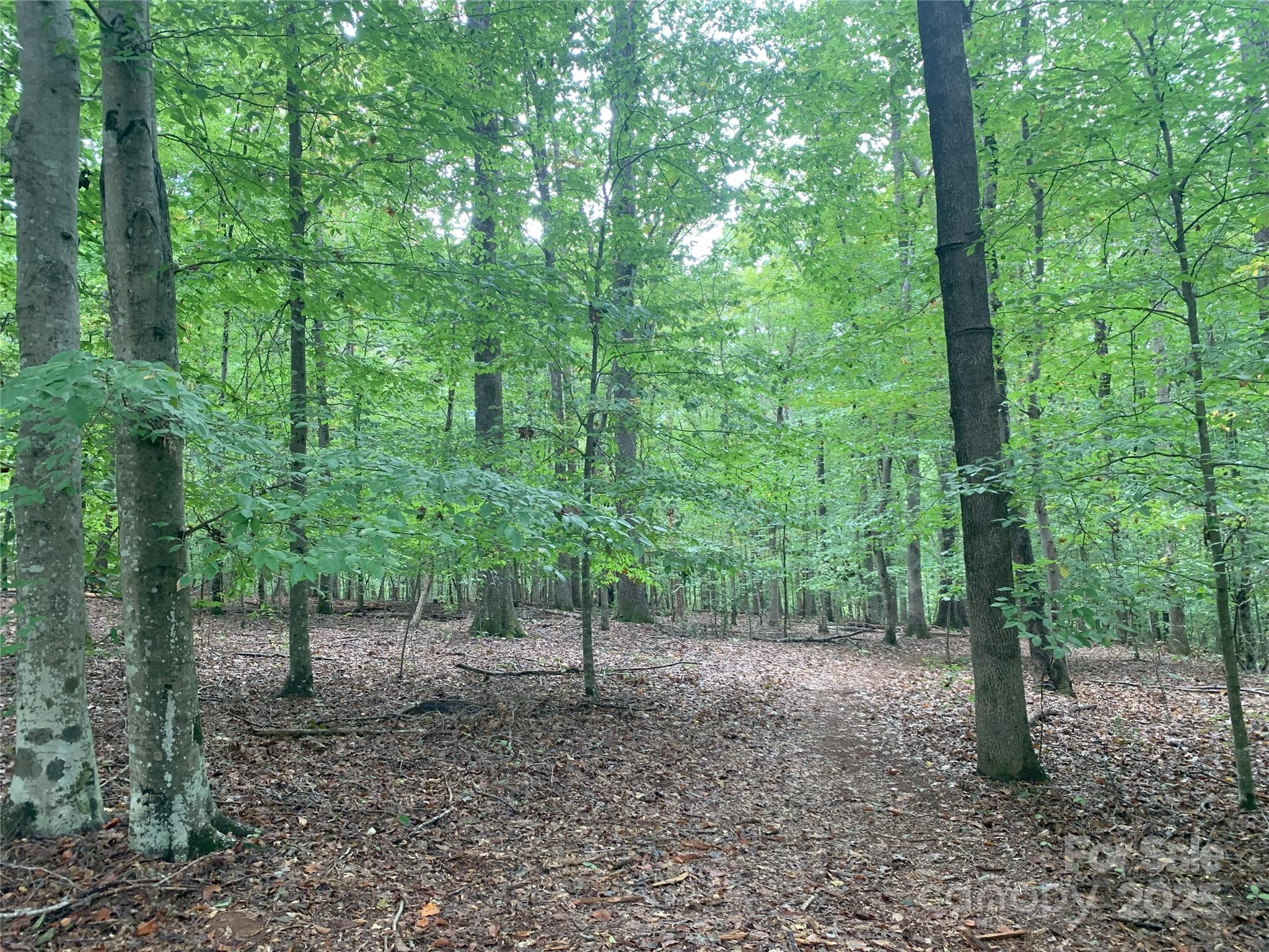 0 Fawn Lane Waxhaw, NC 28173 - Photo 3 of 8