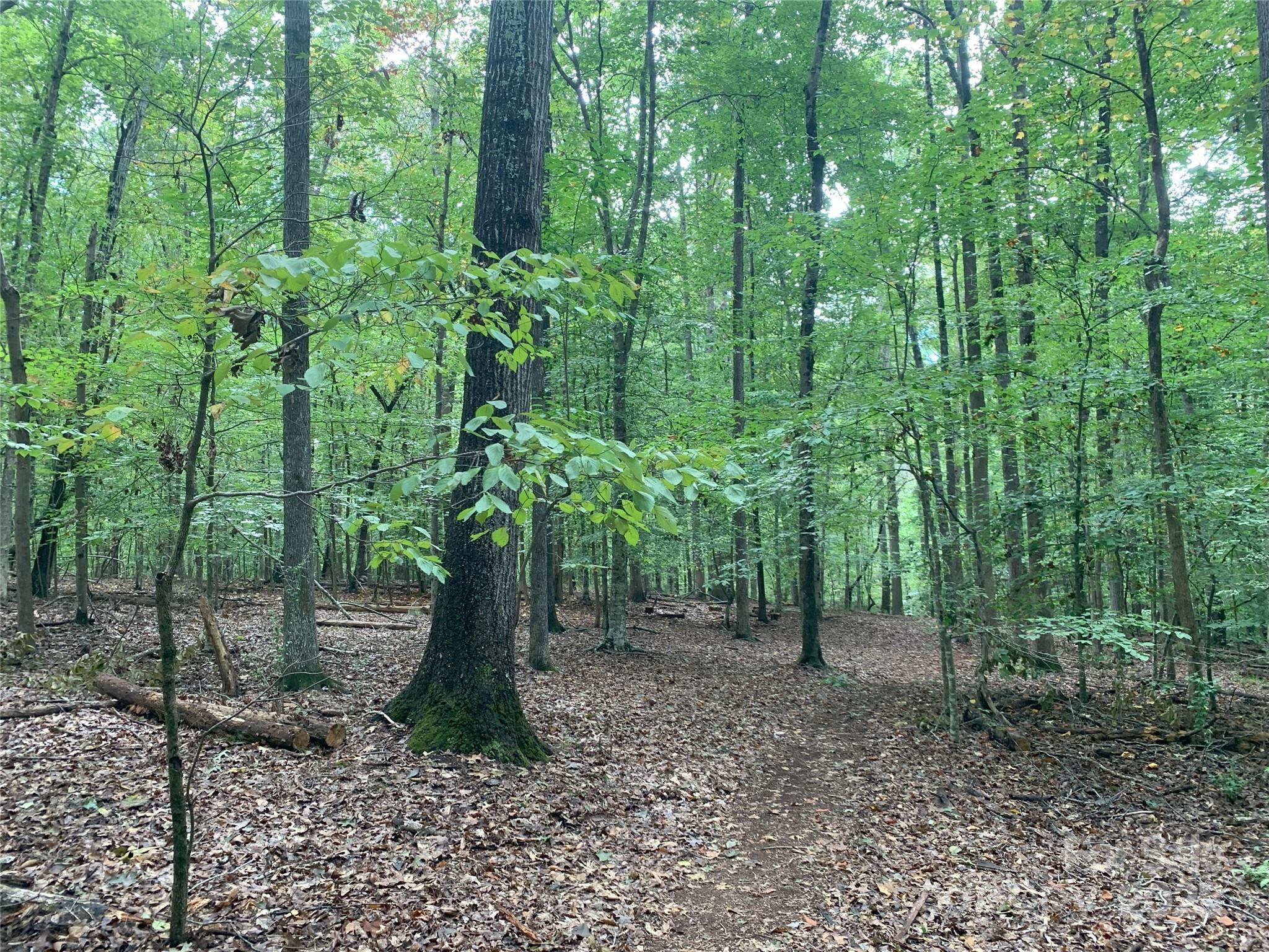 0 Fawn Lane Waxhaw, NC 28173 - Photo 6 of 8