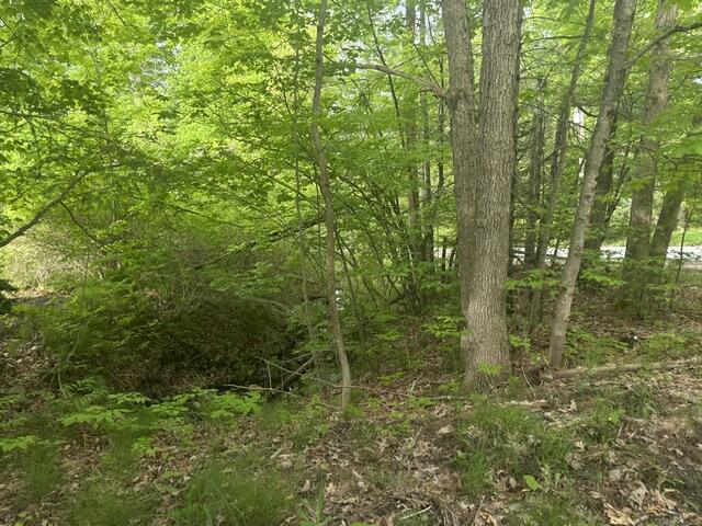 1 Vista Drive Windham, ME 04062 - Photo 3 of 4 Vista 2