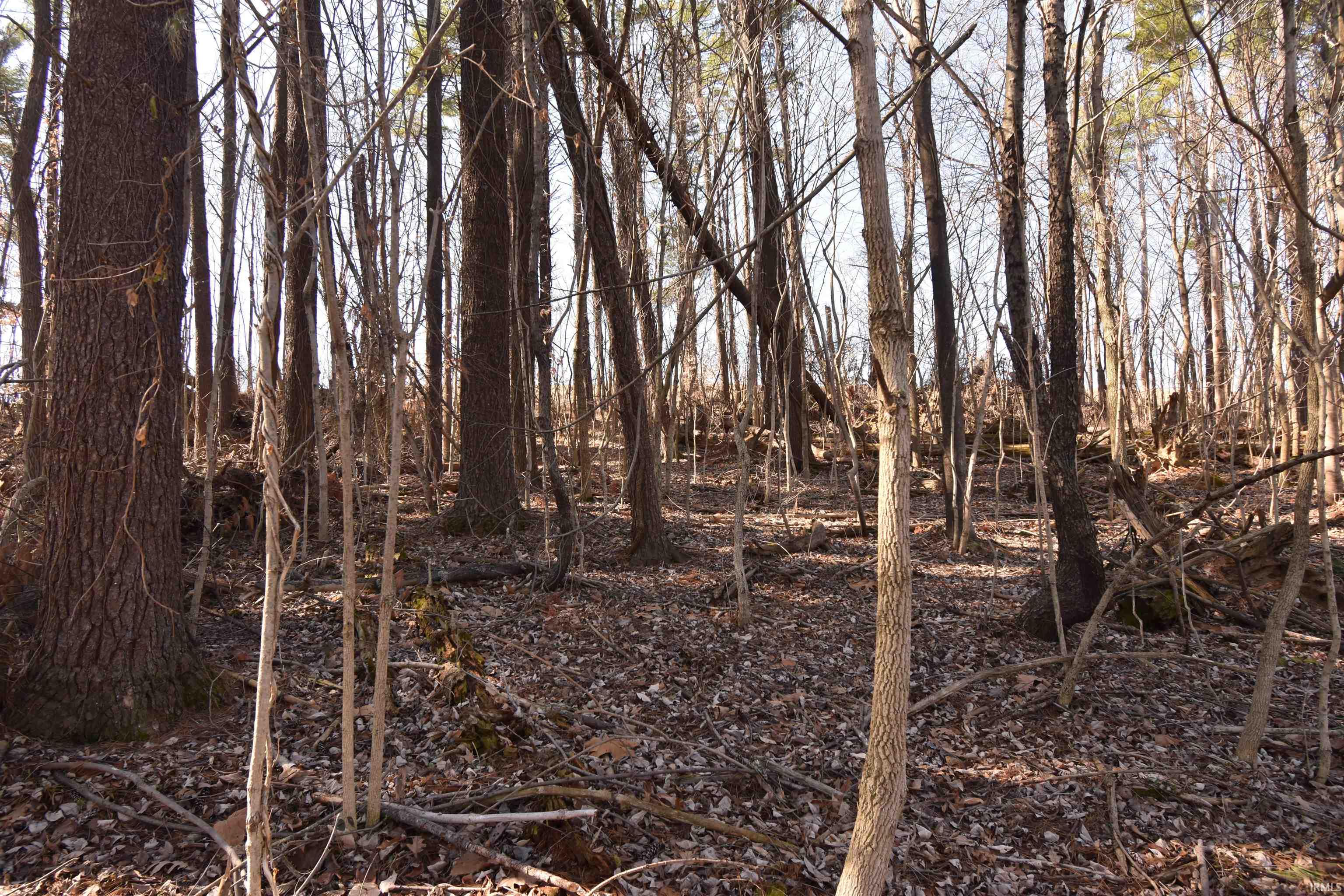 7022 South 500 East Ferdinand, IN 47532 - Photo 14 of 15