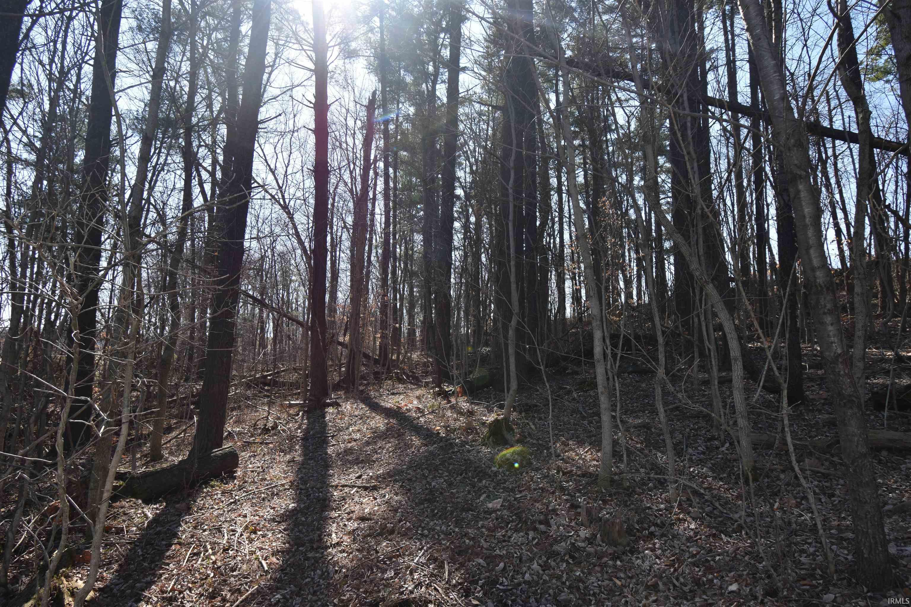 7022 South 500 East Ferdinand, IN 47532 - Photo 5 of 15