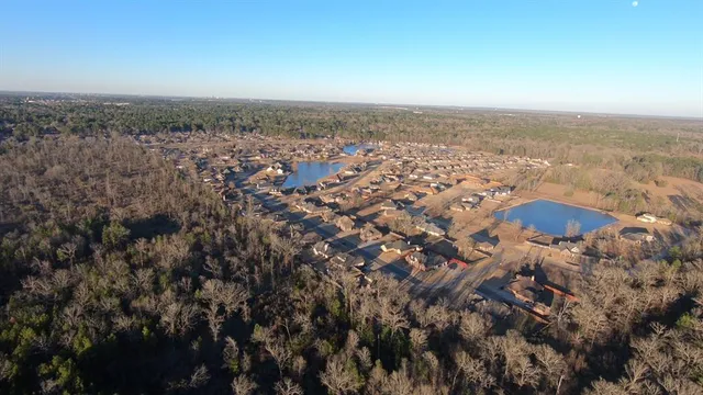 a view of a city with lush green forest