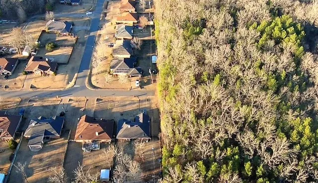 a view of a forest with lots of trees