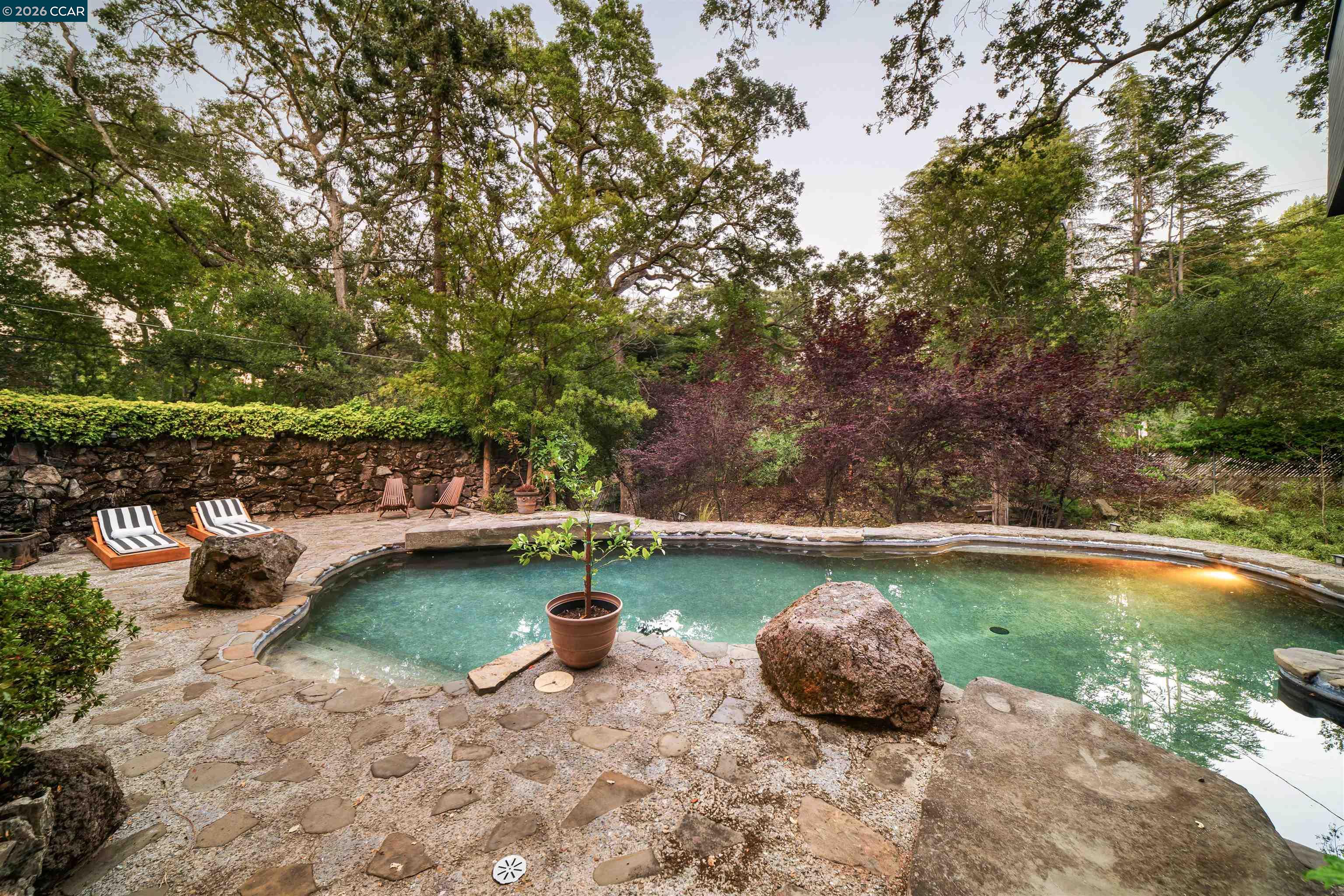 841 Kirkcrest Road Alamo, CA 94507 - Photo 48 of 62 a view of a swimming pool and fire pit