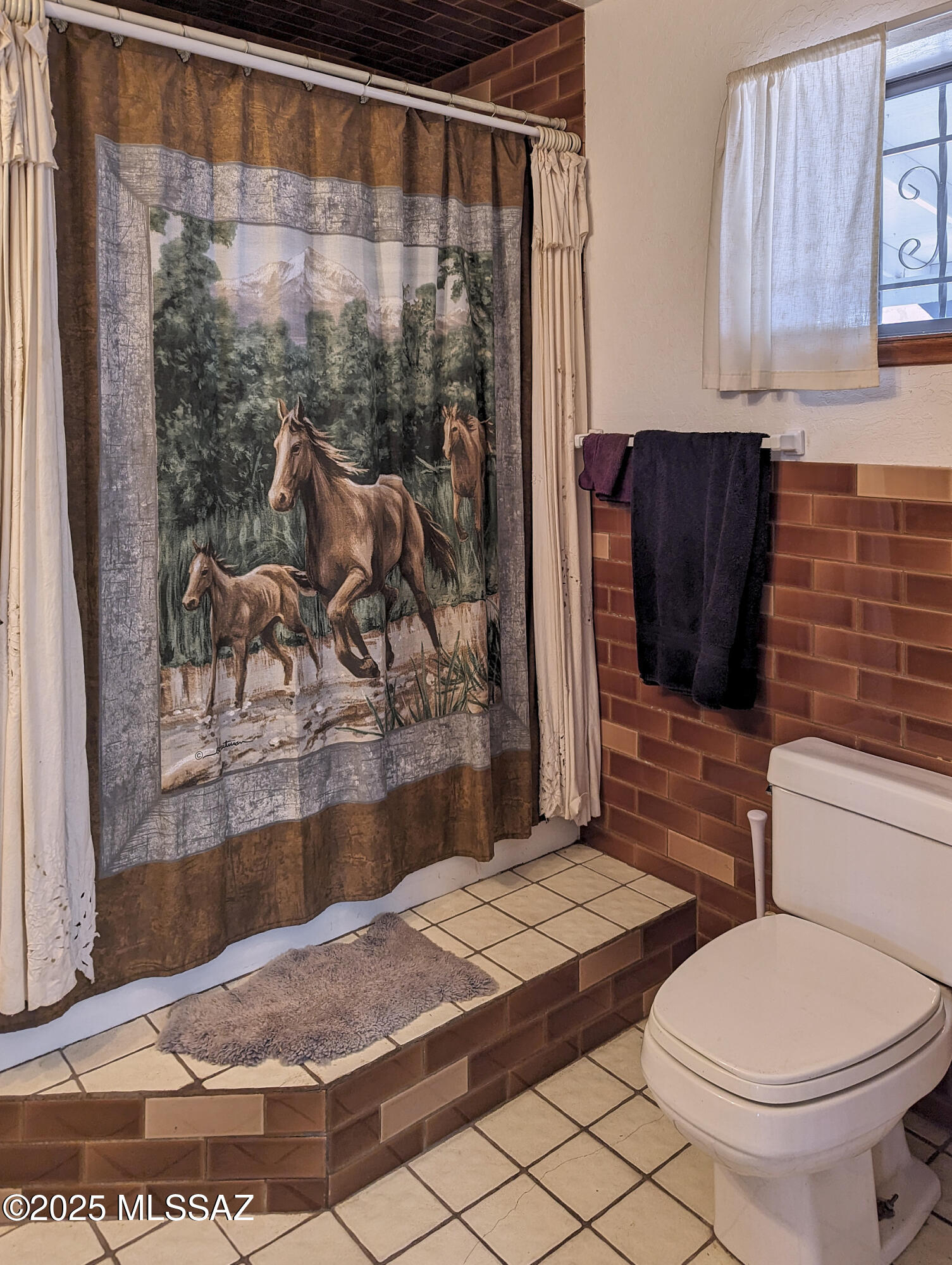 285 West Red Dog Road San Simon, AZ 85632 - Photo 36 of 38