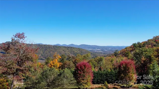 $1,650,000 | 172 Pisgah Frst Trail, Arden, NC 28704