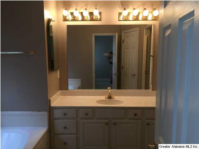 1205 Deer Trail Road Birmingham, AL 35226 - Photo 12 of 22
