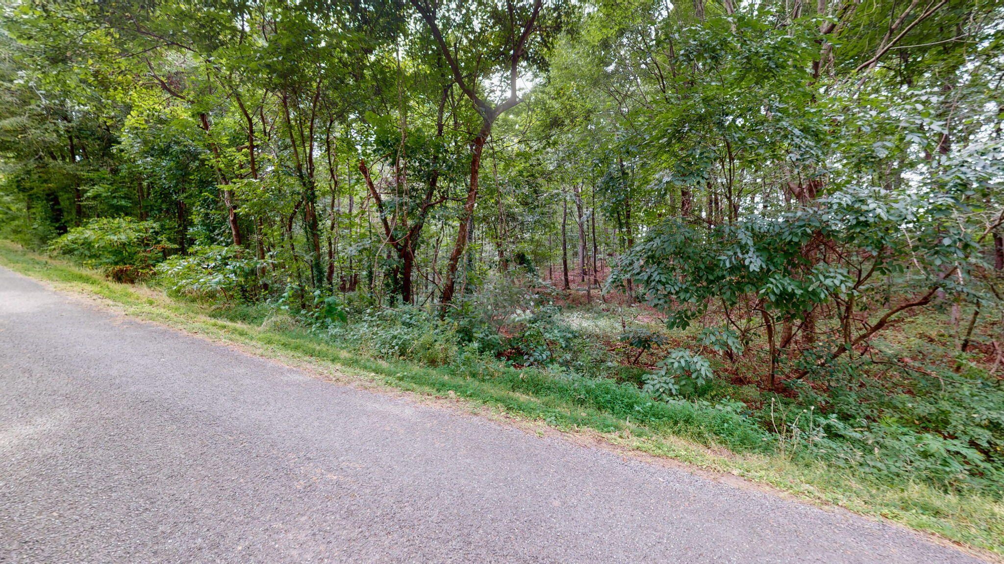 2131 Thurmond Road Murray, KY 42071 - Photo 24 of 36 9-web-or-mls-2131 Thurmond Rd Murray KY