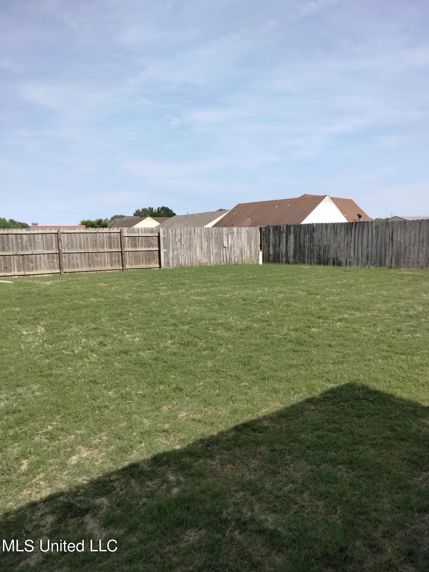 7142 Hurt Road Horn Lake, MS 38637 - Photo 10 of 12 Backyard