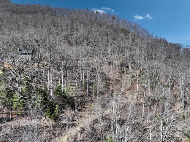 a view of a dry yard with mountains in the background
