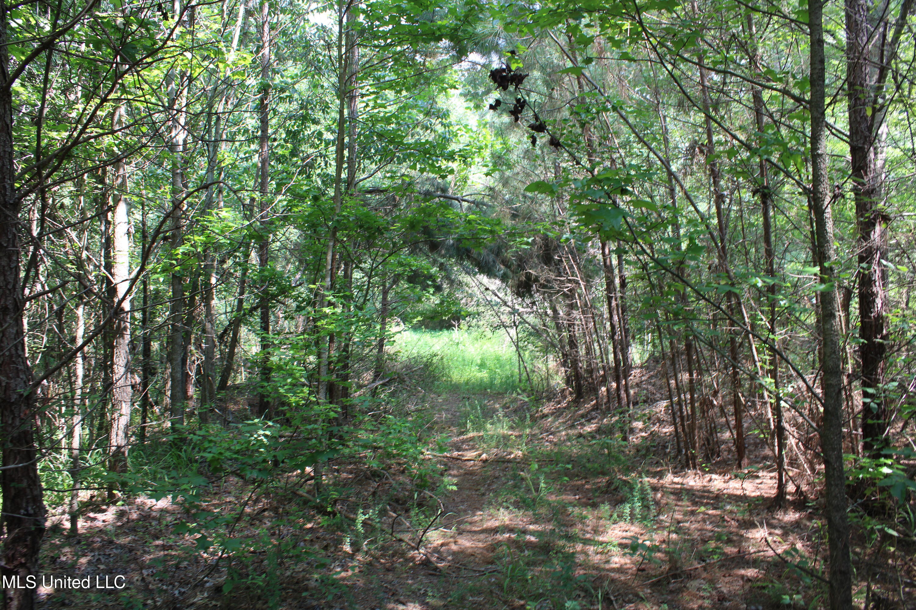 3466 Bethel Road Olive Branch, MS 38654 - Photo 46 of 86 IMG_1696