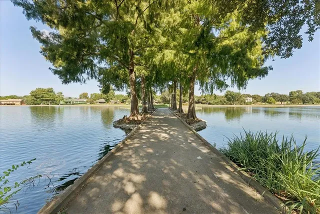 a view of a small garden