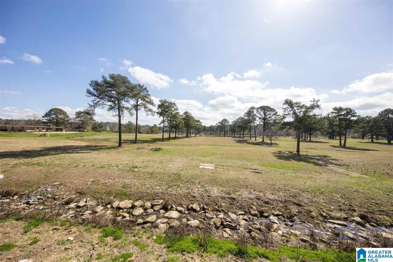 2940 Altadena Ridge Drive Birmingham, AL 35243 - Photo 49 of 49