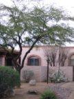 4251 East Allison Road Tucson, AZ 85712 - Photo 2 of 8 Gallery Image 2
