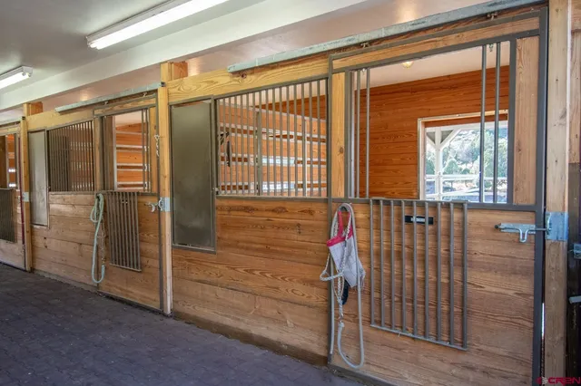a view of lake from a window
