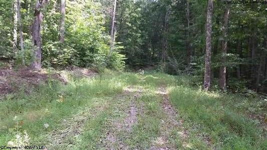 2985 Sassafras Run Road Weston, WV 26452 - Photo 8 of 8 Gallery Image 8