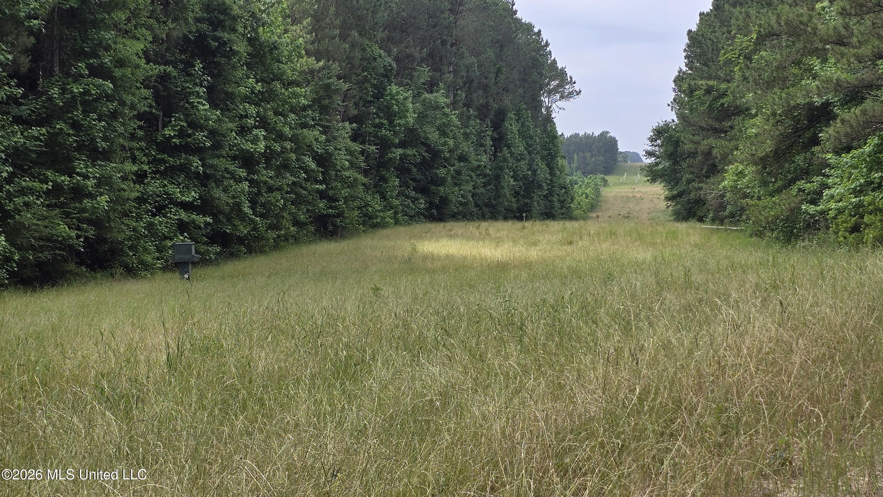 189 Co Road Bay Springs, MS 39422 - Photo 23 of 61 20260513_104617