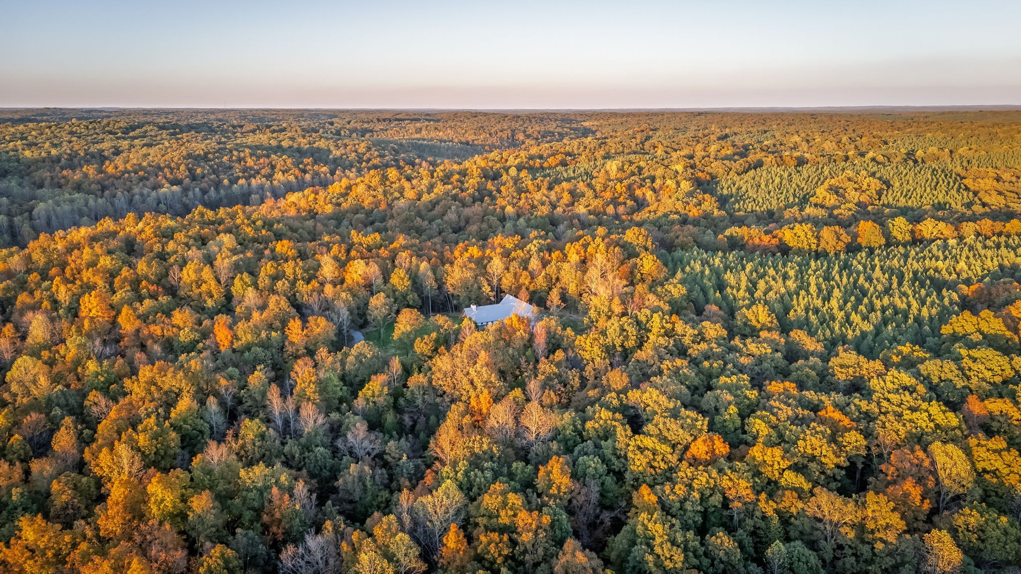 3756 Rial Road McEwen, TN 37101 - Photo 11 of 80