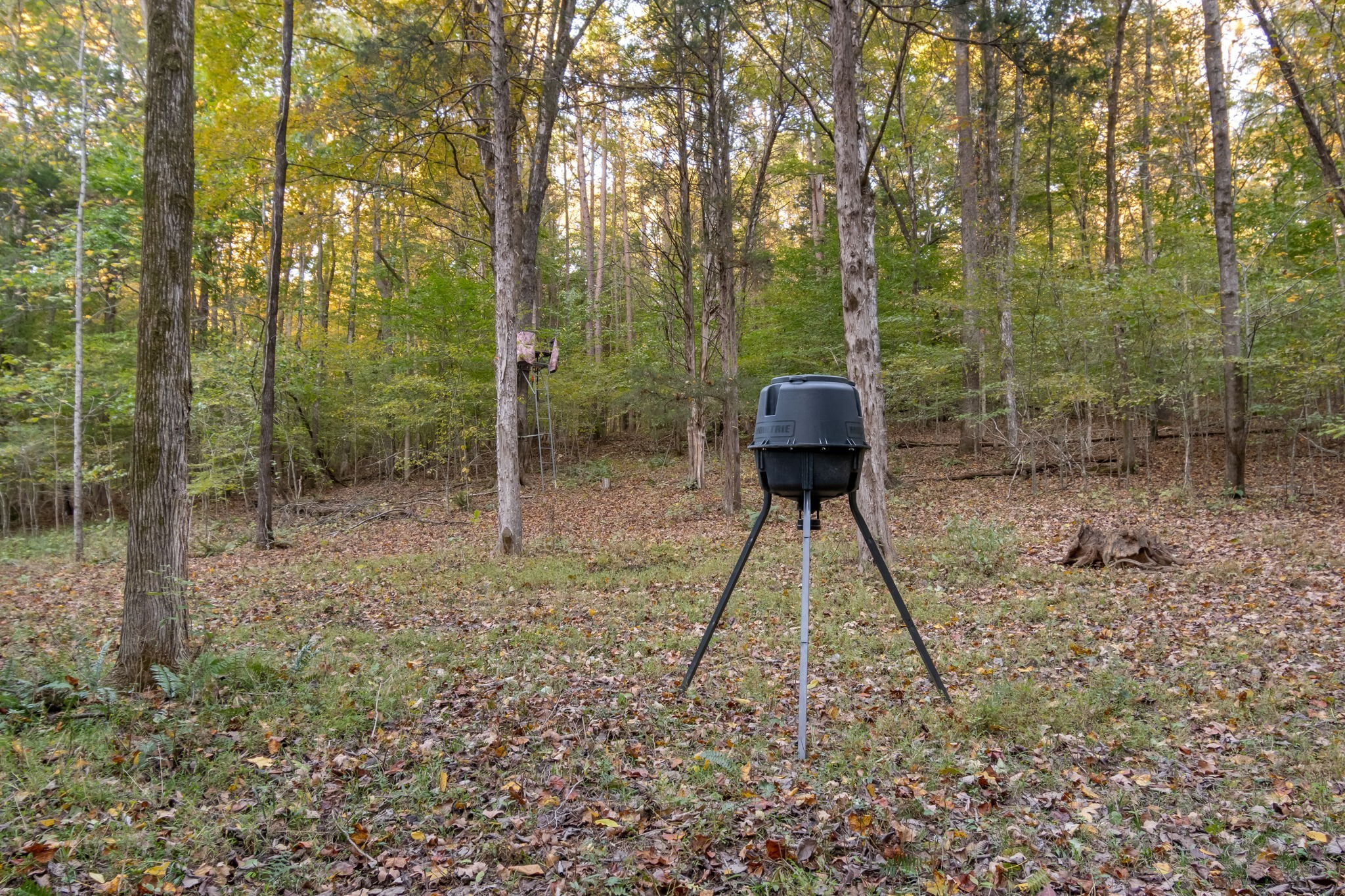 3756 Rial Road McEwen, TN 37101 - Photo 31 of 80