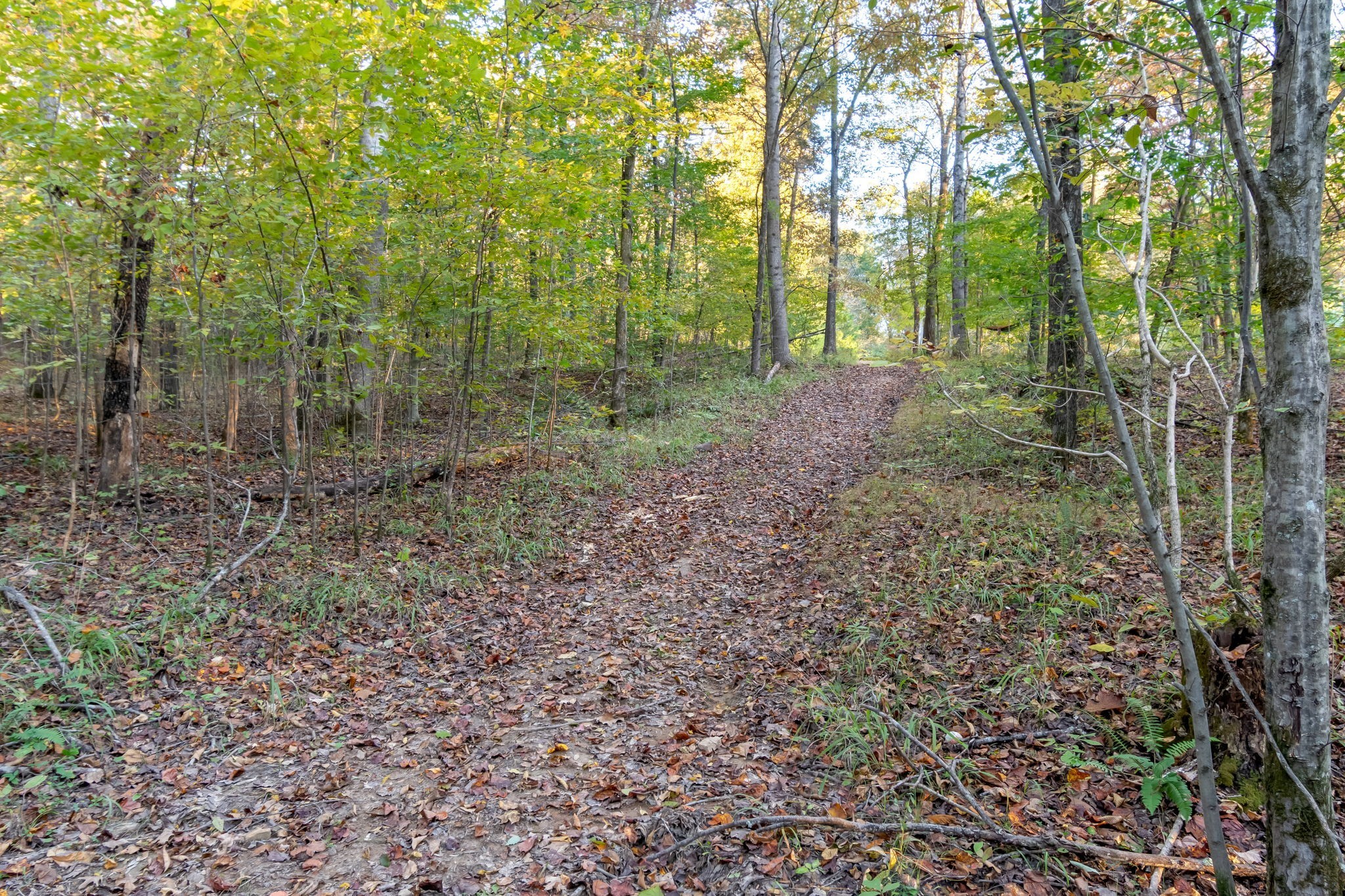 3756 Rial Road McEwen, TN 37101 - Photo 39 of 80