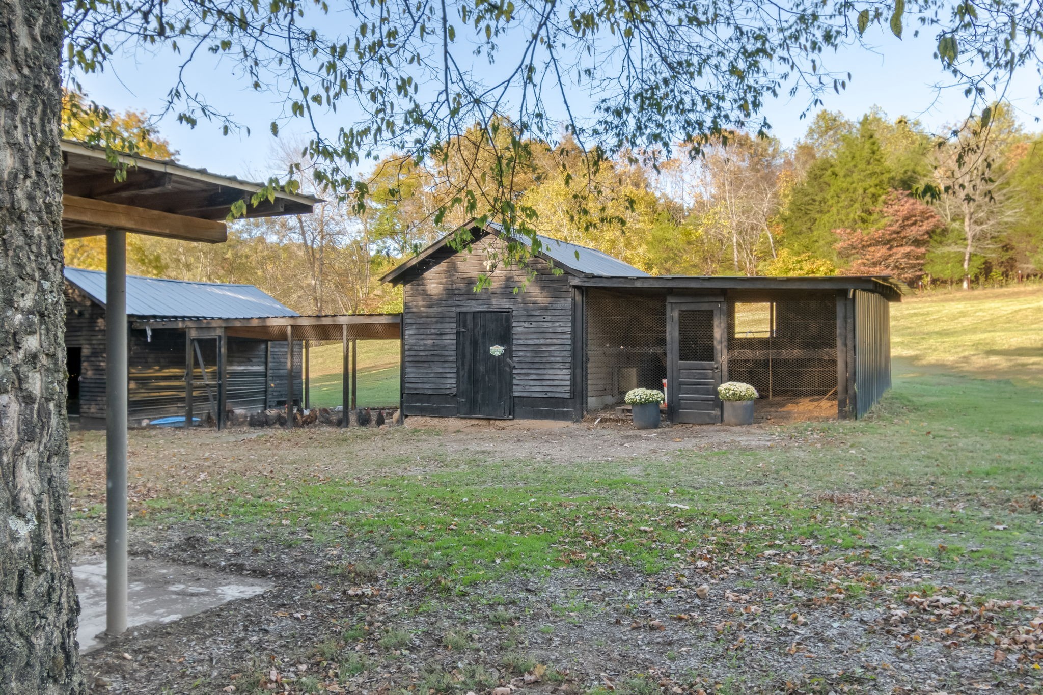 3756 Rial Road McEwen, TN 37101 - Photo 55 of 80