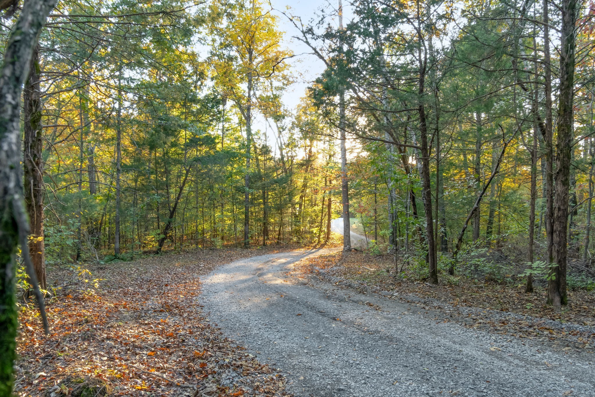 3756 Rial Road McEwen, TN 37101 - Photo 63 of 80