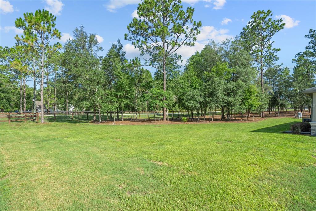 12929 Southwest 89th Street Dunnellon, FL 34432 - Photo 61 of 76