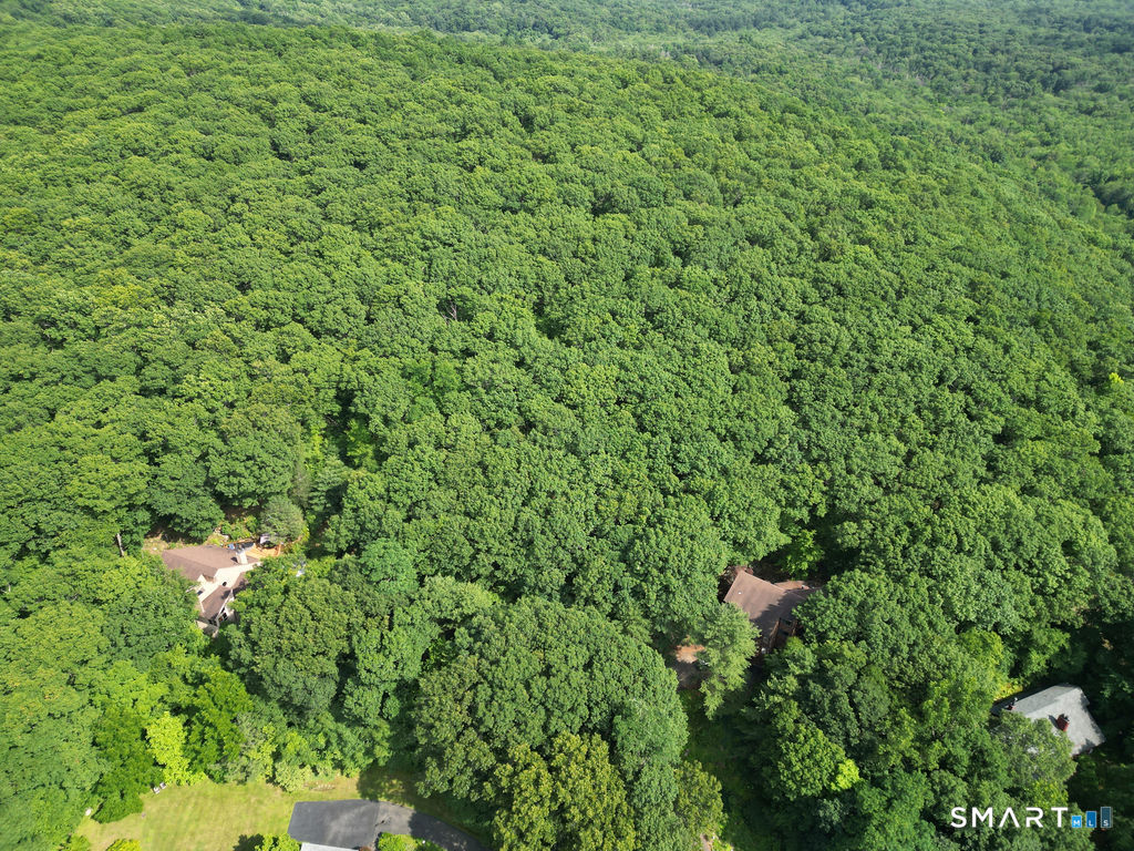 130 Mountain View Road Glastonbury, CT 06033 - Photo 10 of 12 a view of a lush green forest with lots of trees