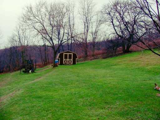 564 Pittsburgh Road Rochester, PA 15074 - Photo 6 of 7 Yard/Garden.