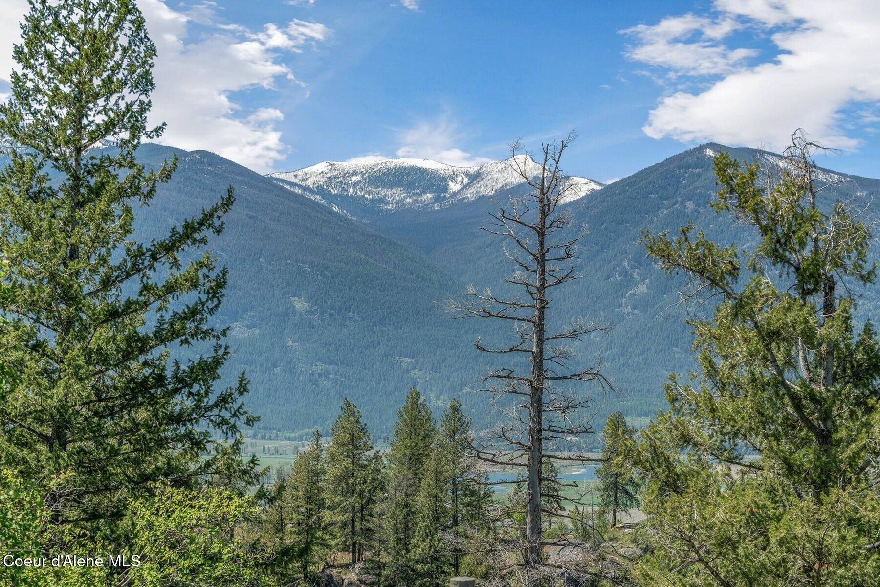 Hunter and Fisherman's Dream