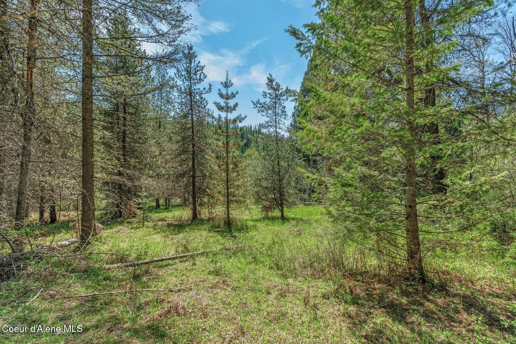 Nna Moyie River Road Bonners Ferry, ID 83805 - Photo 18 of 48 Deer, Elk, Moose....