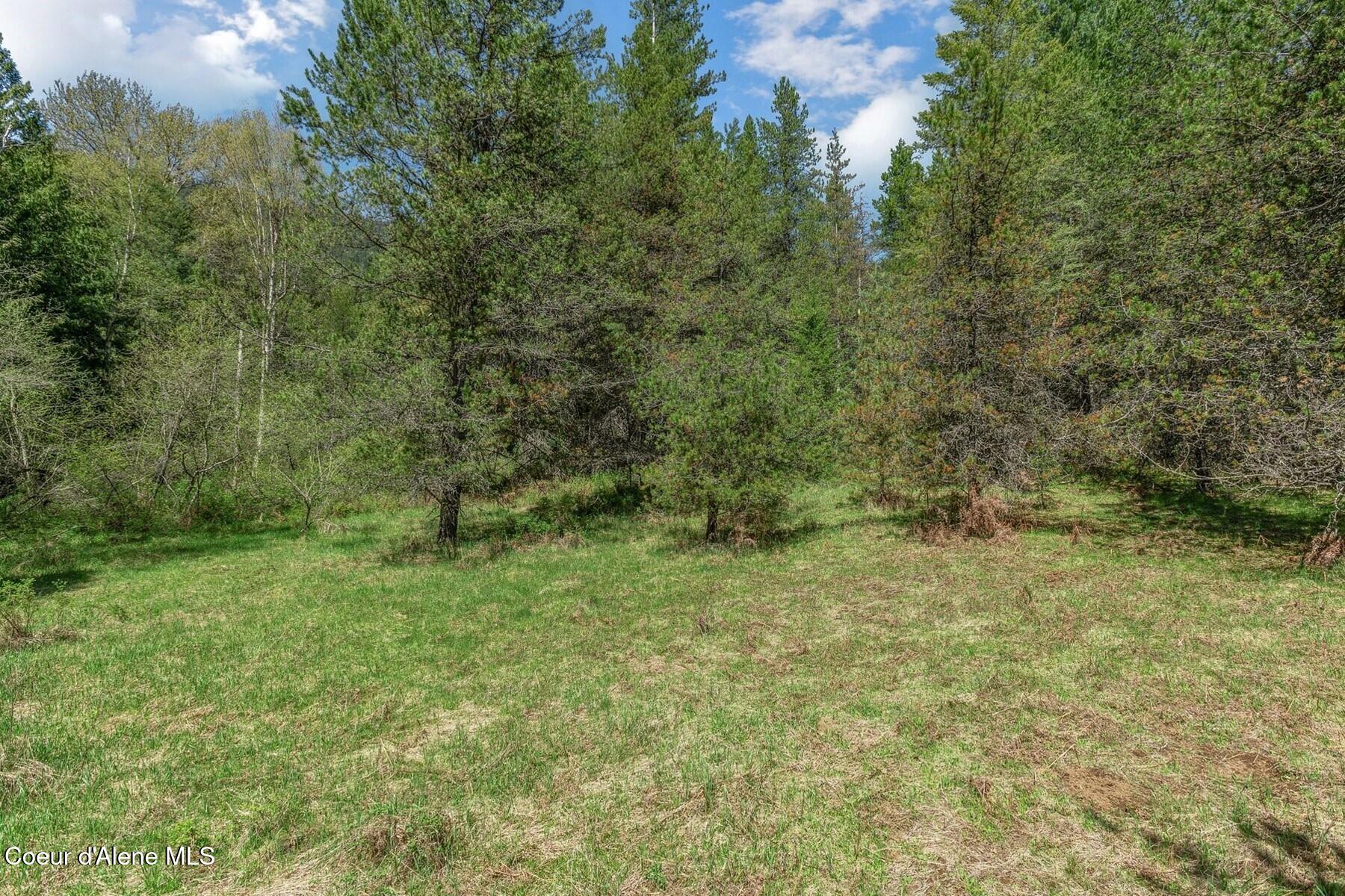 Nna Moyie River Road Bonners Ferry, ID 83805 - Photo 19 of 48 Area of good wells