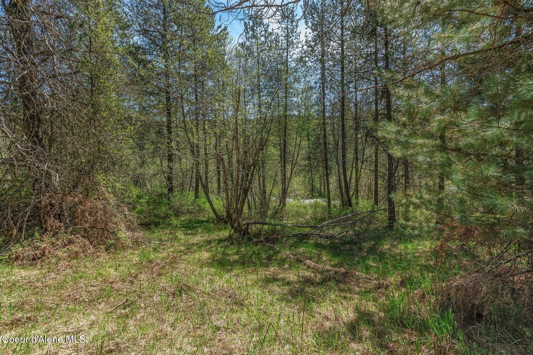 Nna Moyie River Road Bonners Ferry, ID 83805 - Photo 20 of 48 Surveyed Acreage