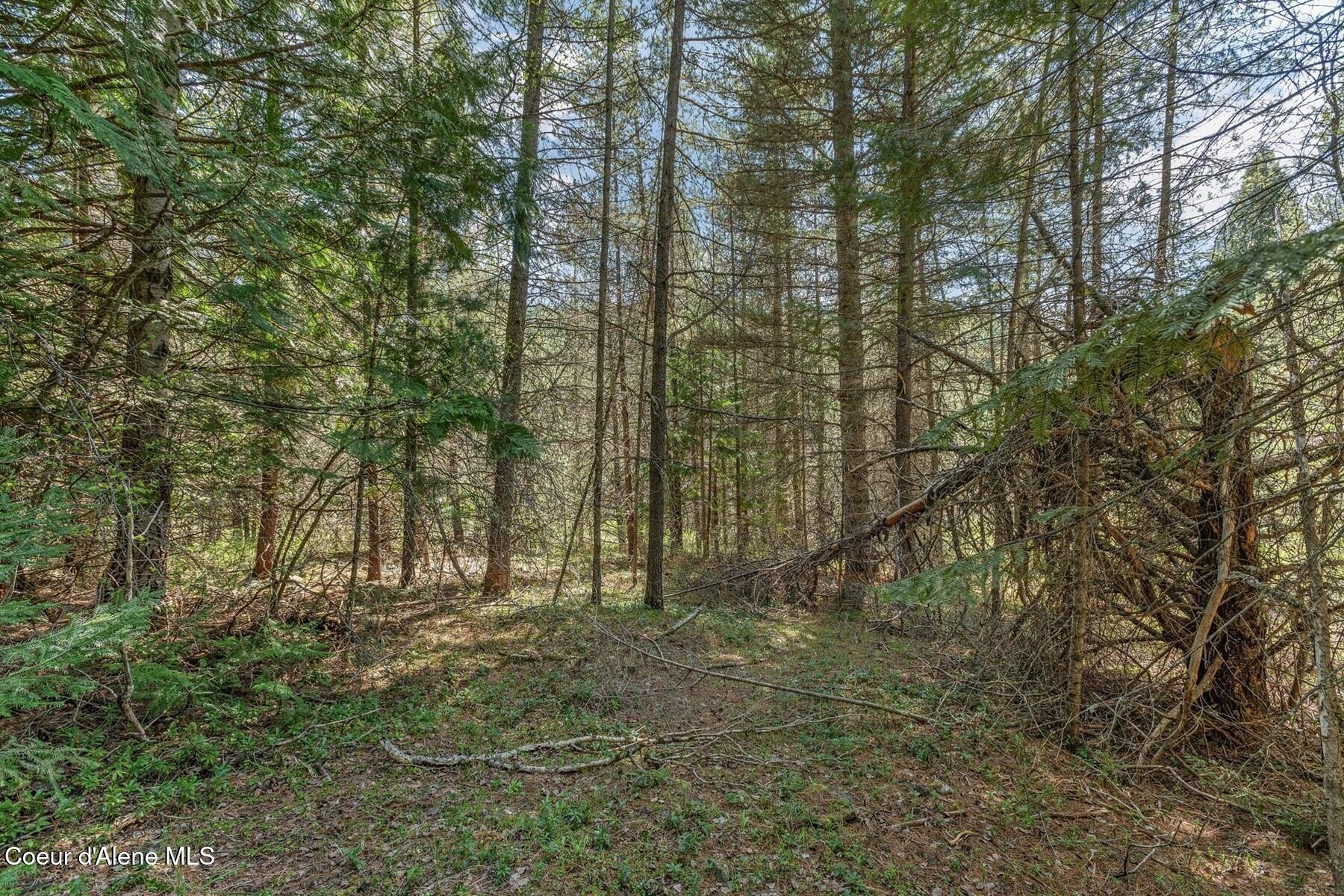 Nna Moyie River Road Bonners Ferry, ID 83805 - Photo 25 of 48 Wildlife Galore!