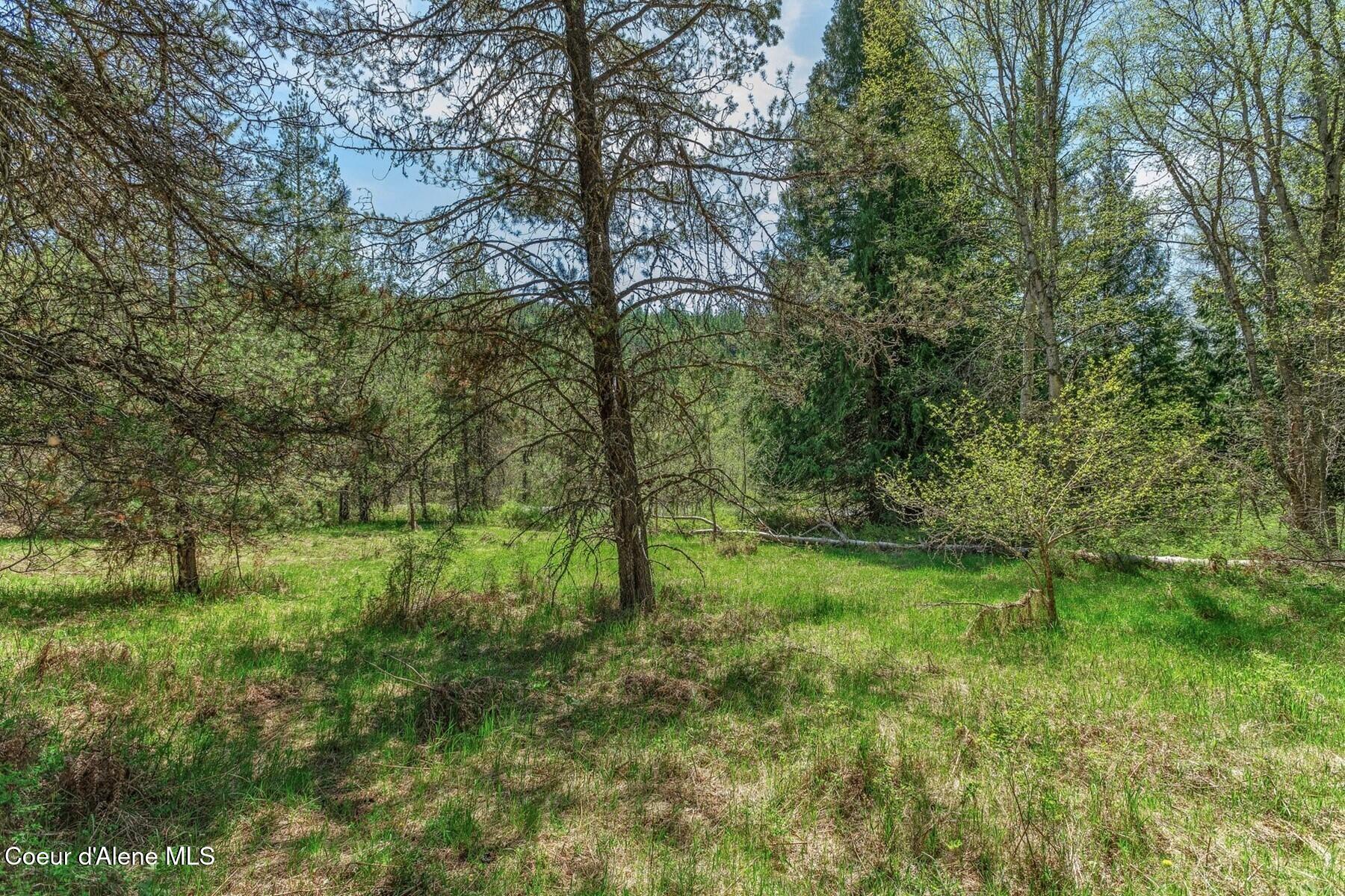 Nna Moyie River Road Bonners Ferry, ID 83805 - Photo 26 of 48 Fresh Air and Space