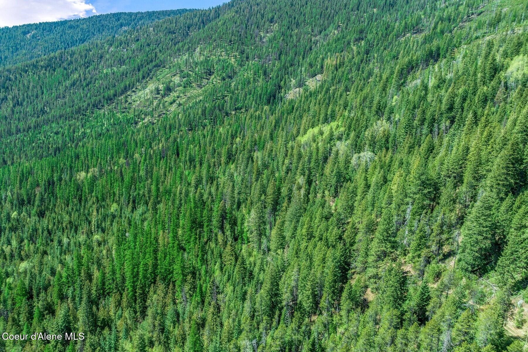 Nna Moyie River Road Bonners Ferry, ID 83805 - Photo 3 of 48 Miles of USFS to explore