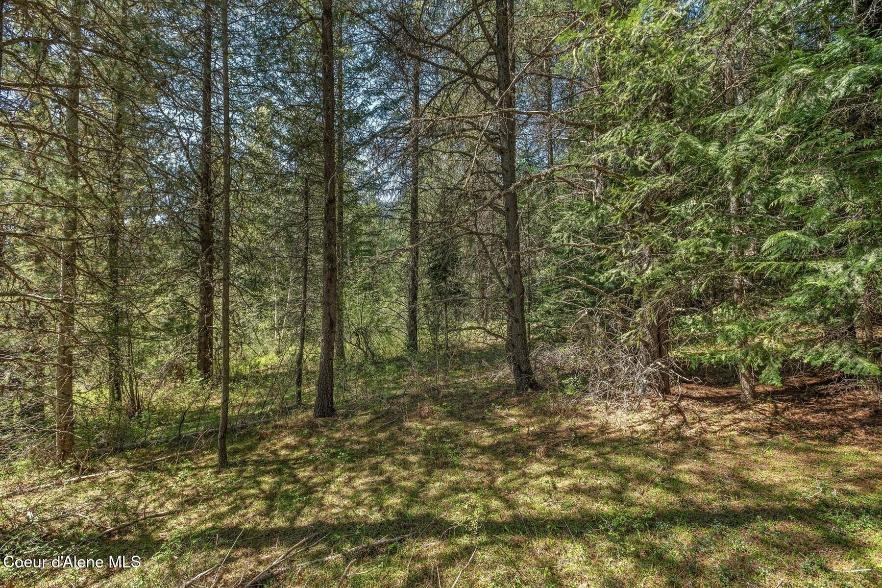 Nna Moyie River Road Bonners Ferry, ID 83805 - Photo 32 of 48 A Country Lifestyle!