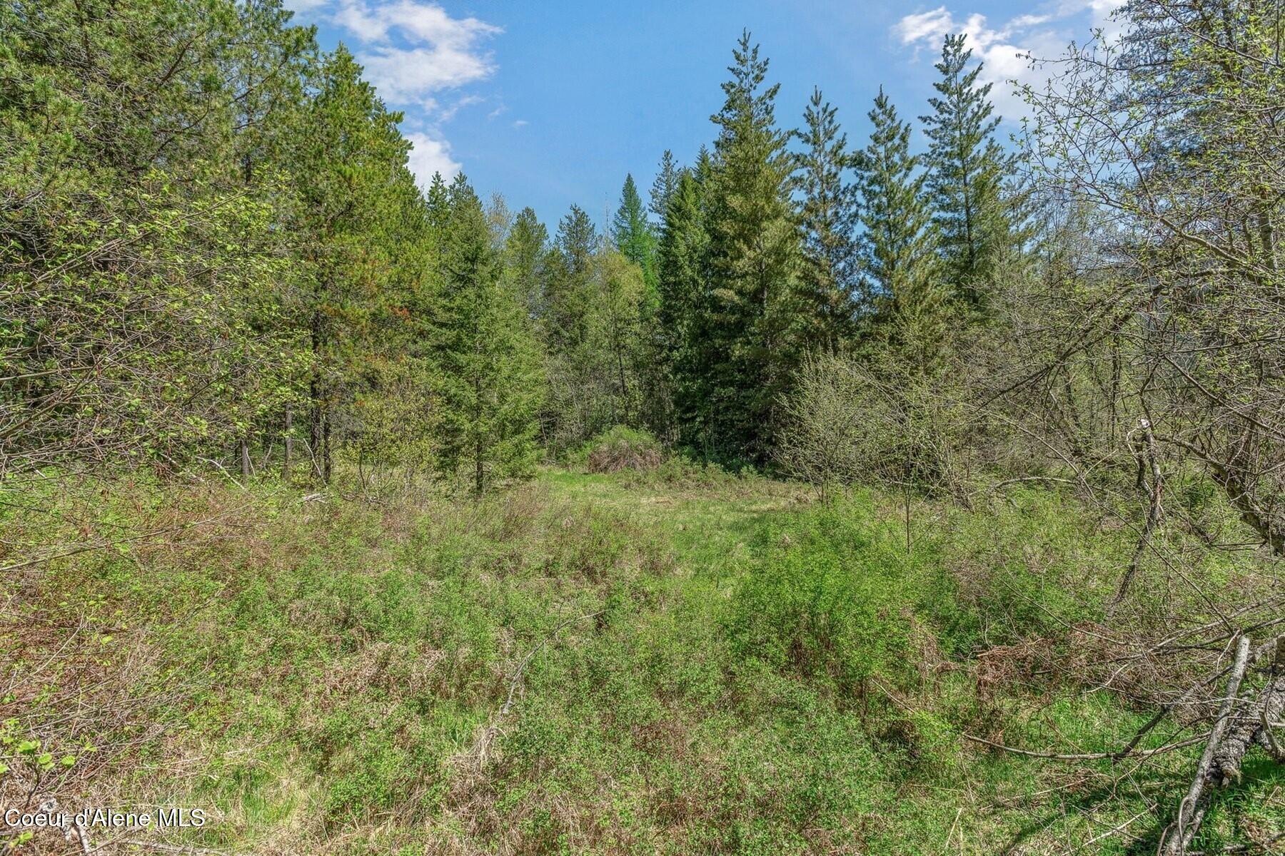 Nna Moyie River Road Bonners Ferry, ID 83805 - Photo 35 of 48 Open Bench Area