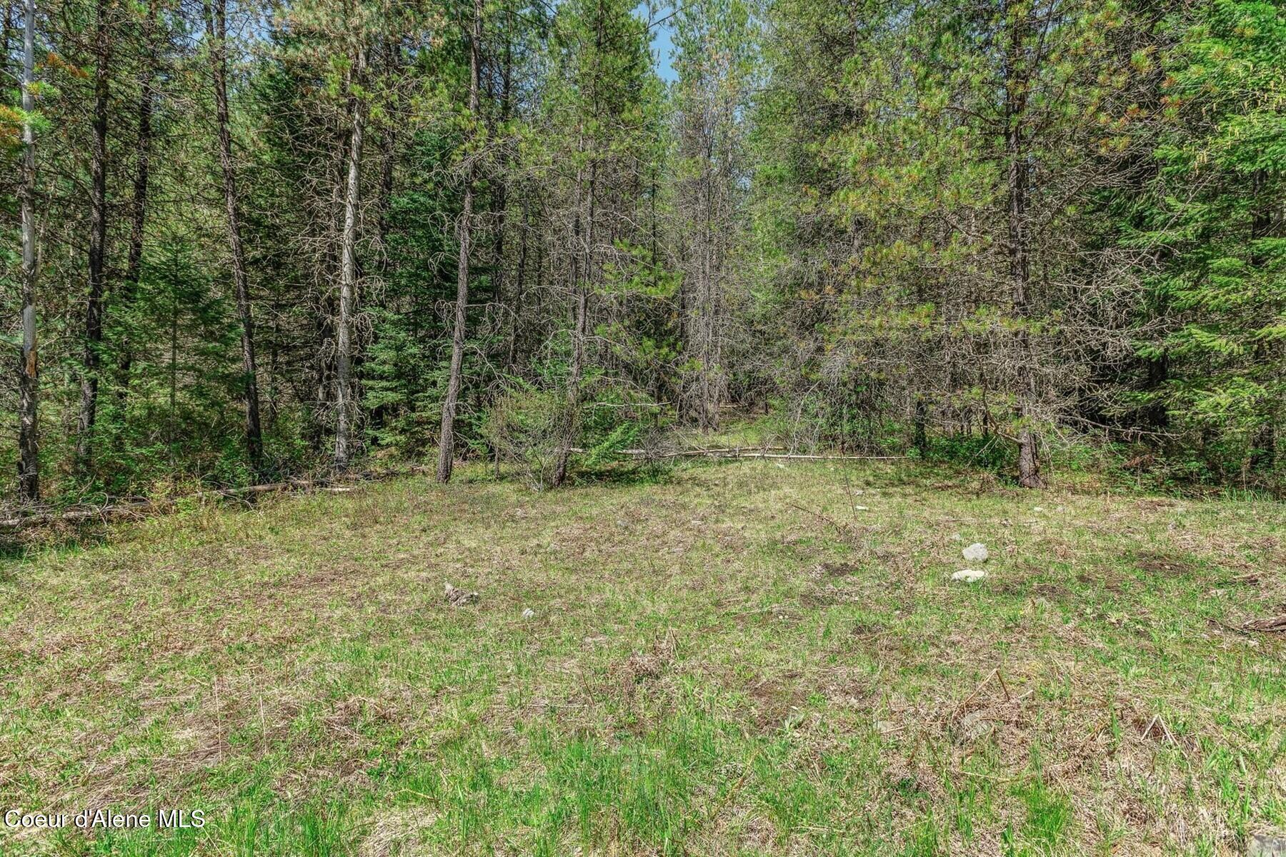 Nna Moyie River Road Bonners Ferry, ID 83805 - Photo 37 of 48 Level, Sloped, Steep