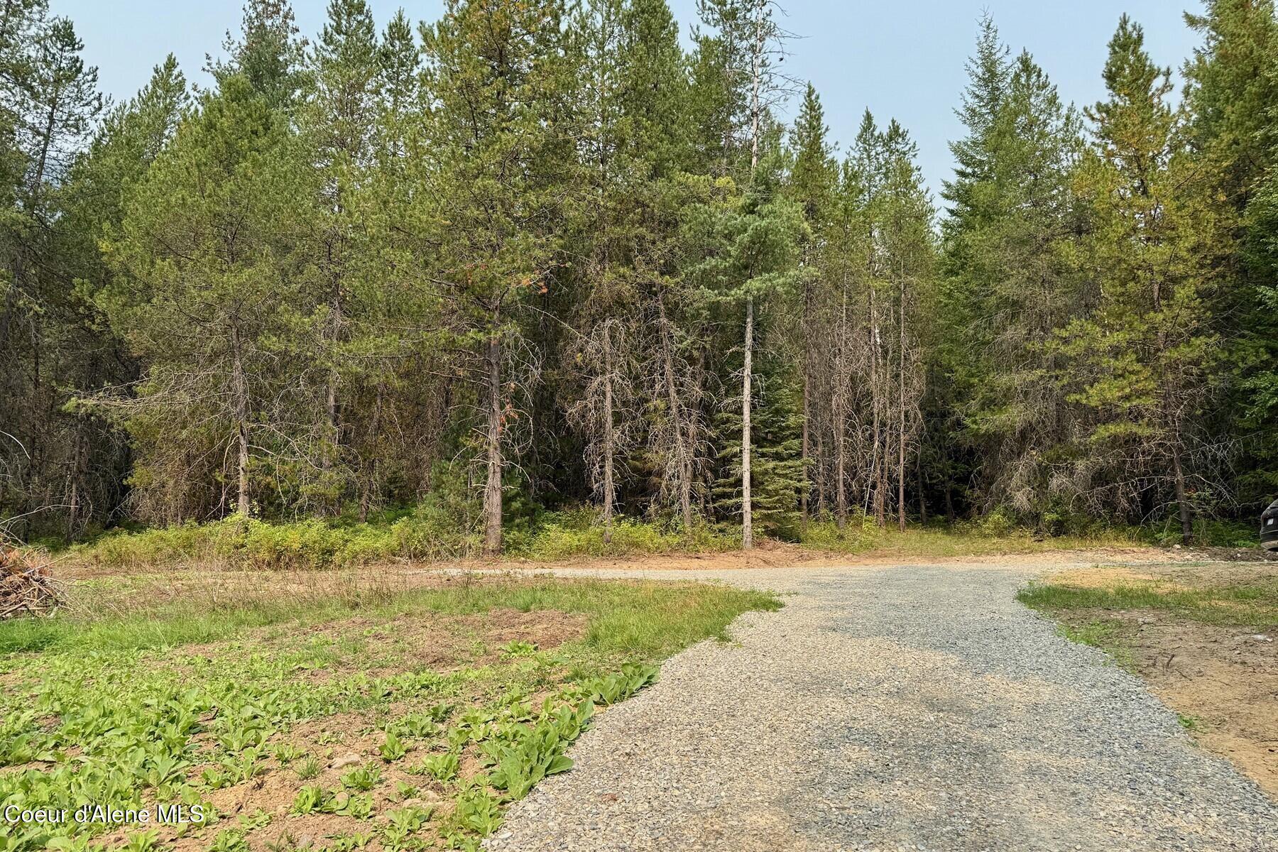 Nna Moyie River Road Bonners Ferry, ID 83805 - Photo 6 of 48 Off Grid