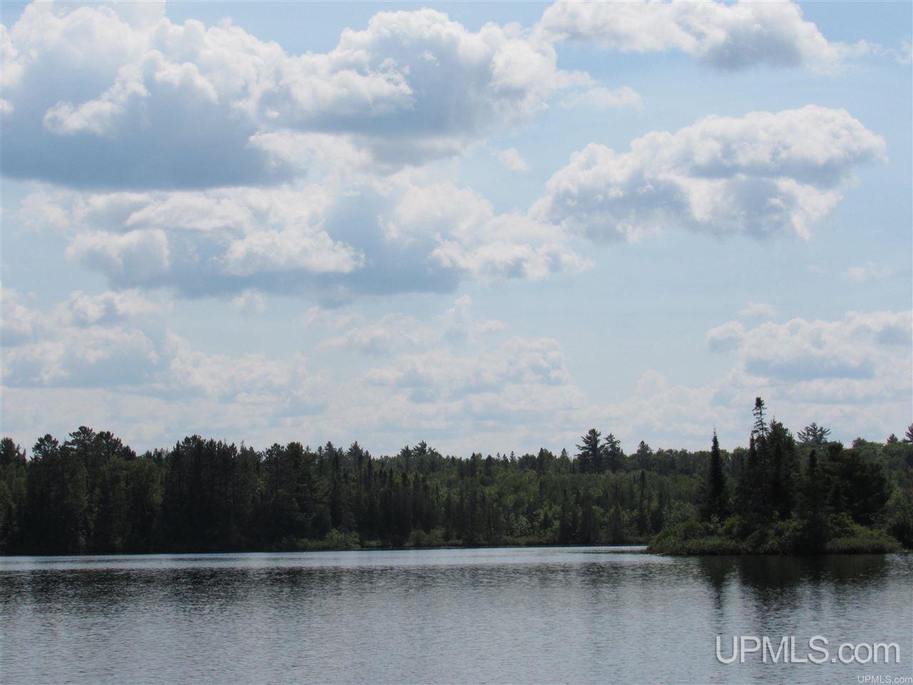 Tbd Berry Road Michigamme, MI 49861 - Photo 1 of 17