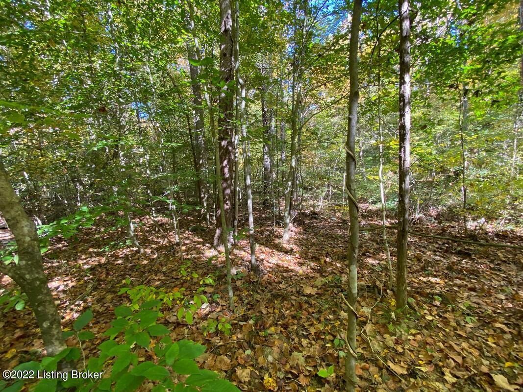 L4 Ted Logsdon Road Clarkson, KY 42726 - Photo 6 of 11 River View 101322228