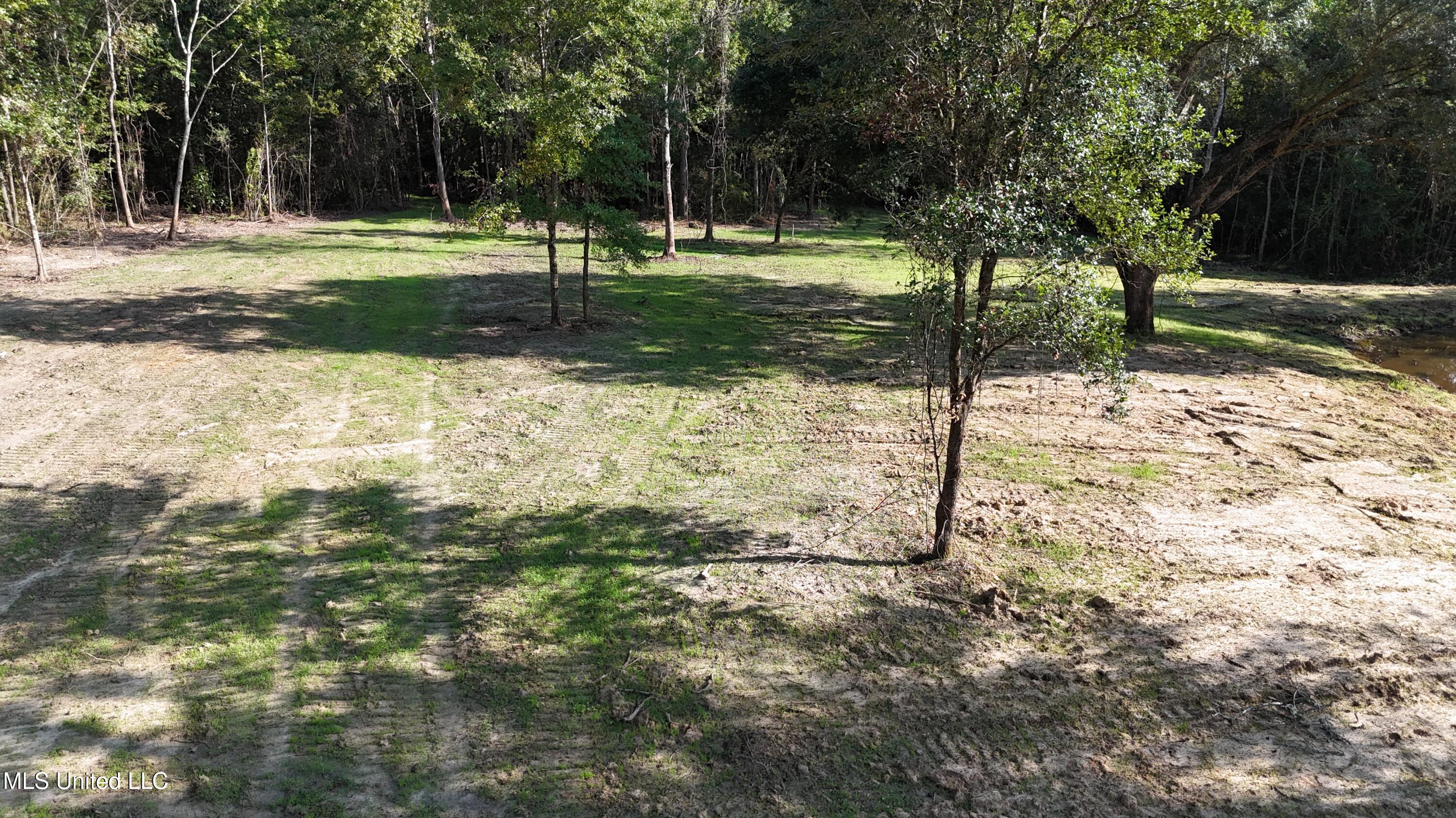 Cody Goldman Road Lucedale, MS 39452 - Photo 4 of 8 DJI_20250822091558_0020_D