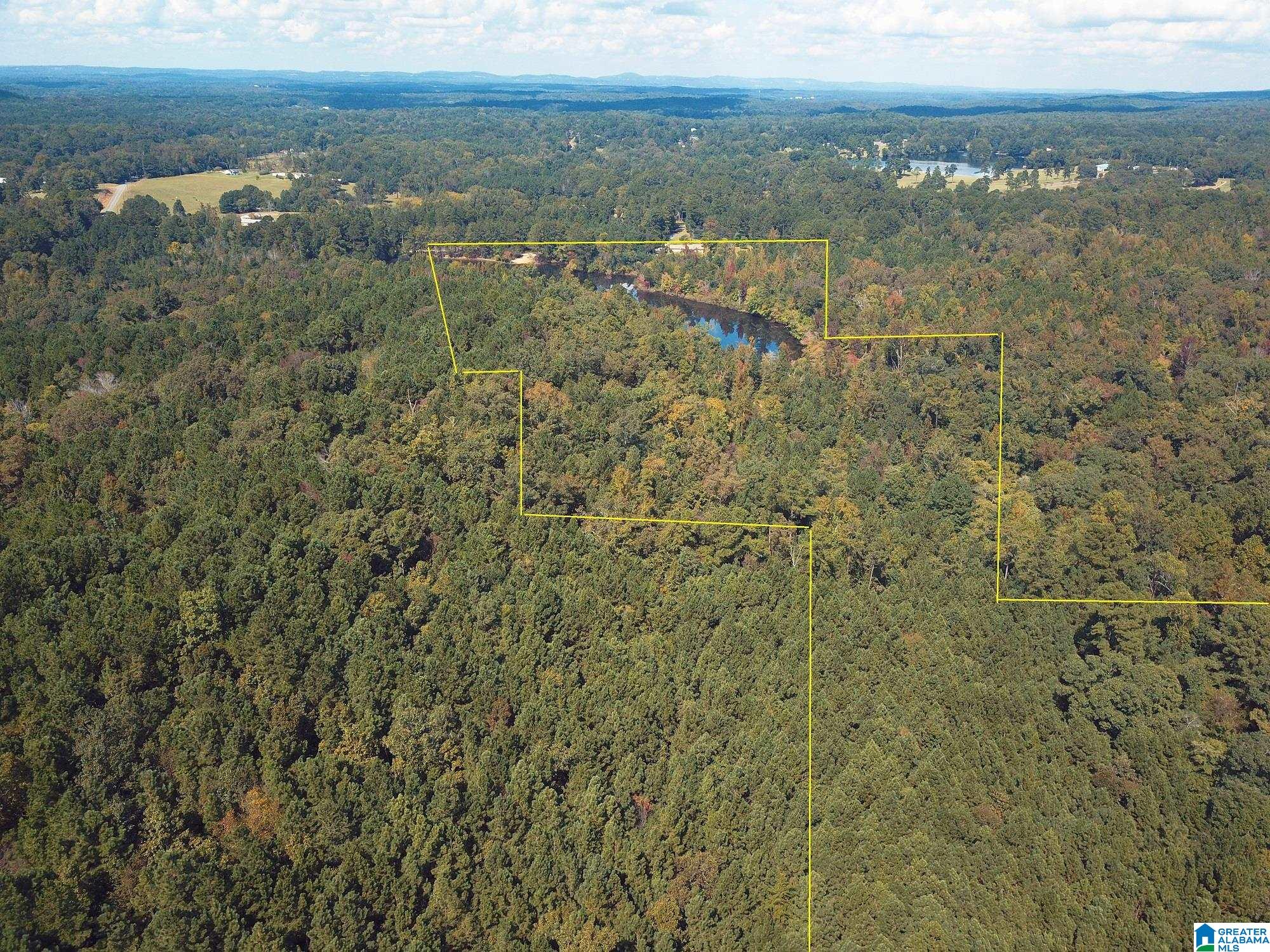 8760 Marsh Mountain Road, Unit 223 Pinson, AL 35126 - Photo 17 of 51