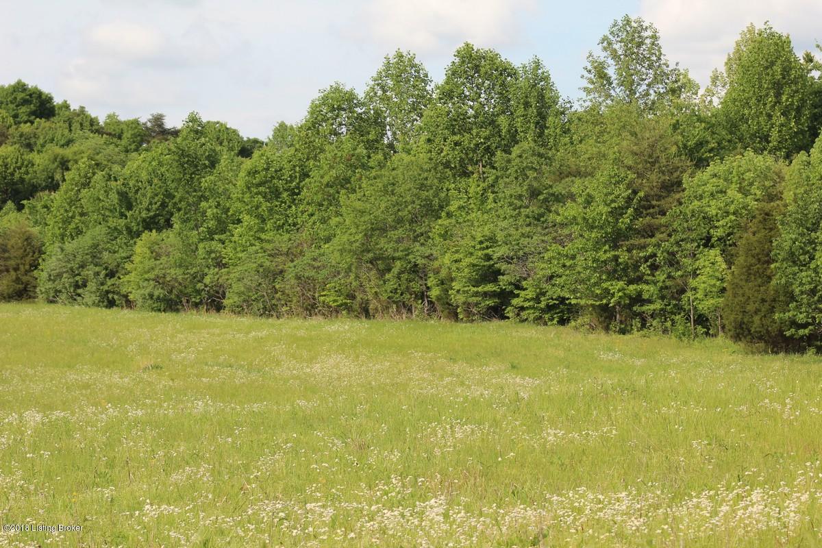 1000 Ready Jackson Road Caneyville, KY 42721 - Photo 27 of 31 Mudd Farms25