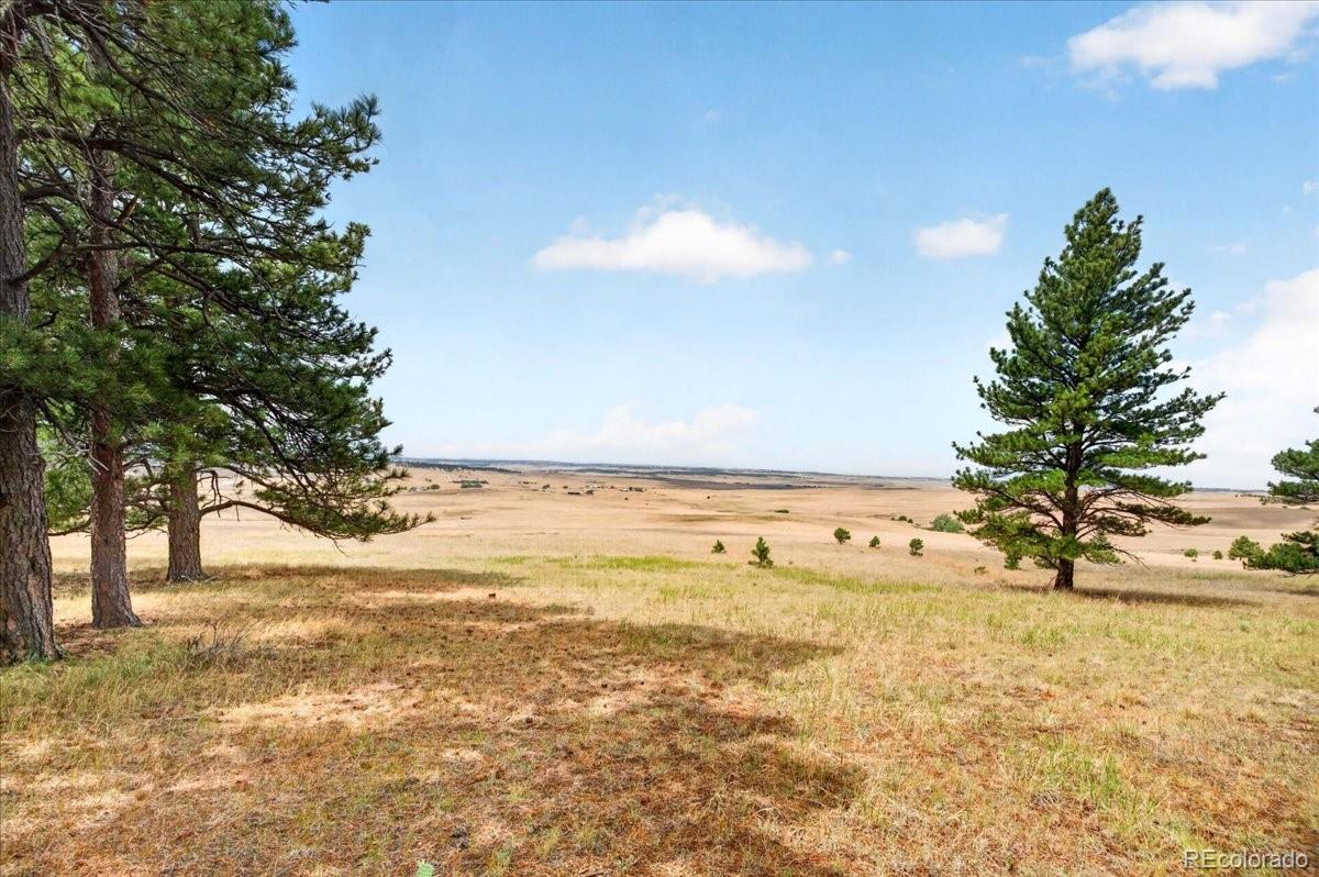 32901 Ridge Road Ramah, CO 80832 - Photo 24 of 50 Gallery Image 24