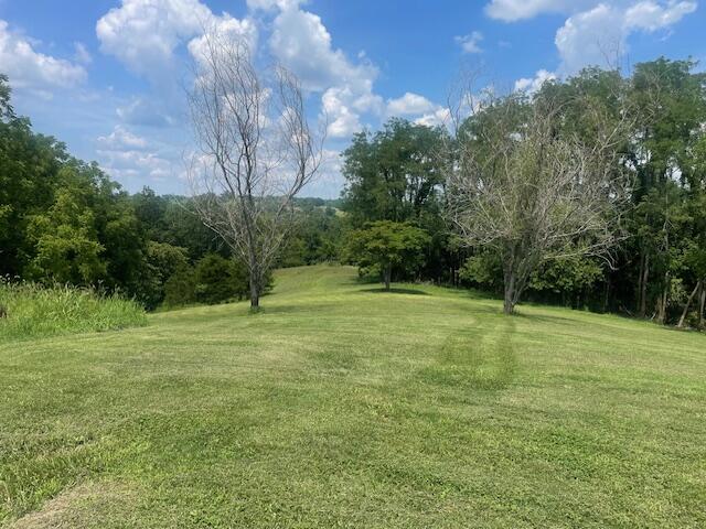 1512 Turner Ridge Road Falmouth, KY 41040 - Photo 11 of 42 Gallery Image 11