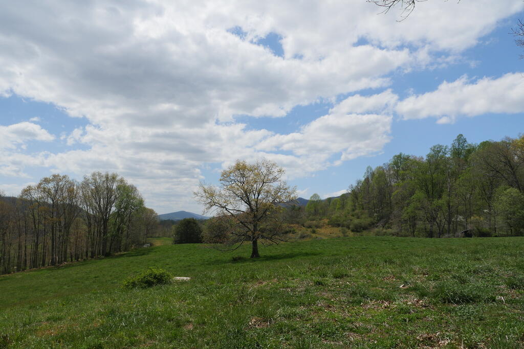 4020 Freestone Valley Road Tannersville, VA 24377 - Photo 100 of 109 Gallery Image 100