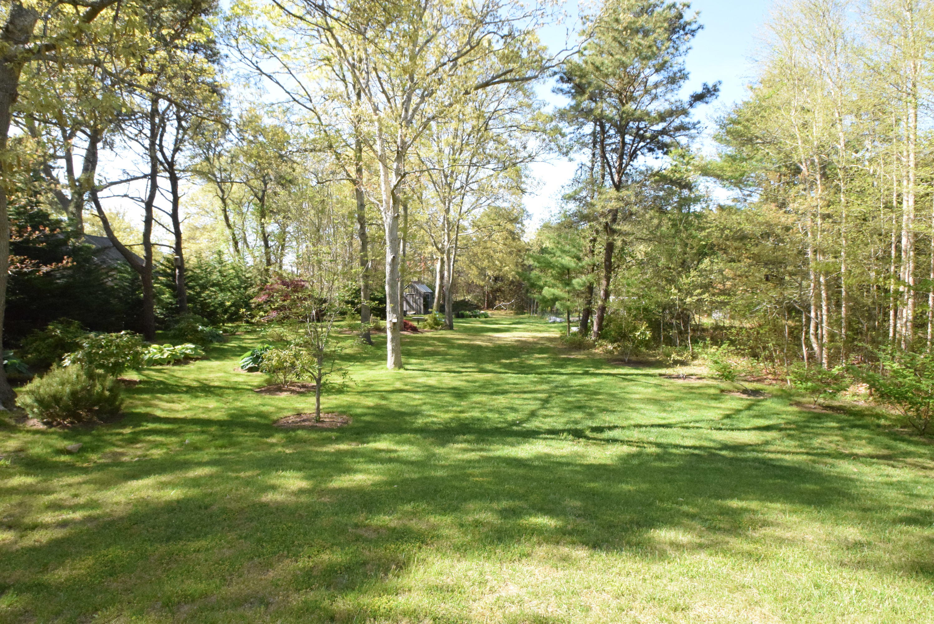 65Winslow BackYard