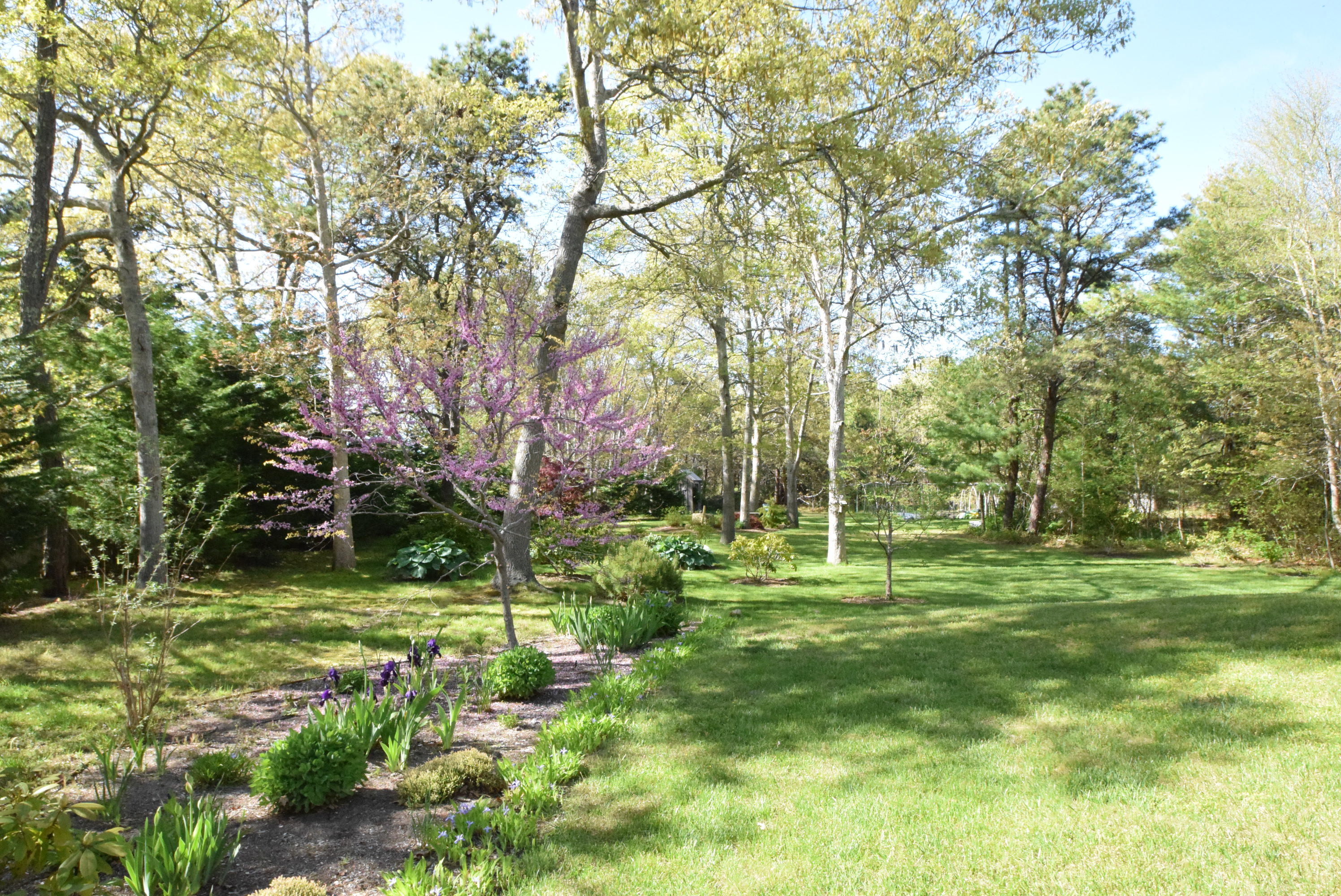 65Winslow BackYard1